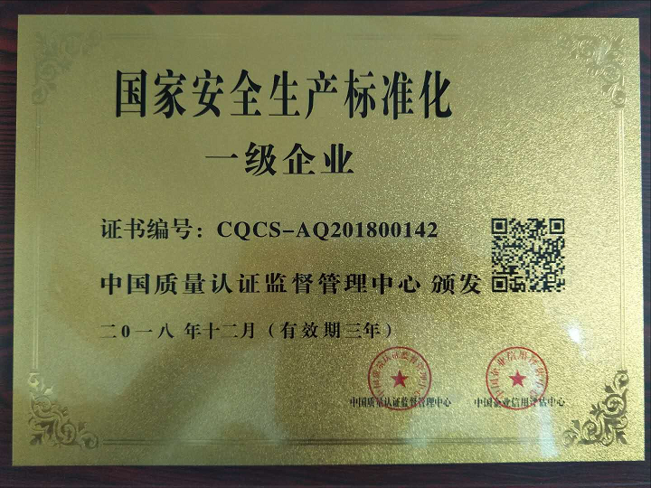 国家安全生产标准化一级企业